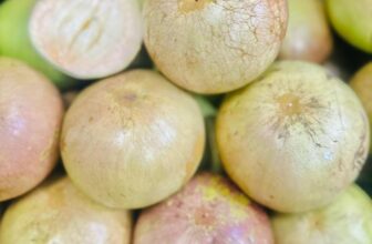 [🆕🇻🇳] Hương Thảo food and Fruits – Cửa hàng thực phẩm tự nhiên 🍔 Top1Food  🍜  TRÁI CÂY CHÍNH GÓC MIỀN TÂY SÔNG NƯỚC………
VÚ SỮA TÍM BÁCH THẢO hàng cái bè Tiền Giang + bao ăn : 150K/KY
MÍT TỐ NỮ LAI:  HẠT LÉP + VỊ NGỌT VỪA K  , shares-0✔️ , likes-0❤️️ , date-2025-03-20 02:24:25🇻🇳🇻🇳🇻🇳📰🆕