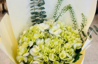 [🆕🇻🇳] Pizza Hut Việt Nam 🍔 Top1Food  🍜  Bắt Trọn Khoảnh Khắc Xinh-Iu Trong Tháng 03 Này08/03 đã qua, nhưng dư âm vẫn còn đó. Đặc biệt, những khoảnh khắc xinh-iu thì càng phải được khoe nhiều , shares-5✔️ , likes-54❤️️ , date-2025-03-20 21:00:07🇻🇳🇻🇳🇻🇳📰🆕