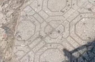 [🆕🇻🇳 ]In ấn giá rẻ Hoàng Hà – Bảo Lộc – Trung tâm in ấn giá rẻ bảo lộc 🎨 Top1Designs ✨   , shares-0✔️ , likes-0❤️️ , date-2025-03-15 22:34:41🇻🇳🇻🇳🇻🇳📰🆕