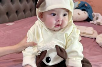 [🆕🇻🇳] KID Clothing – Quần Áo Bé Thóc – CHUYÊN HÀNG QUẢNG CHÂU 🧑‍🧒❤️️👶⭐️ Set bộ hoodie siêu dễ dương dành cho các bé
– Các bé  17-26kg
– Giá chỉ #1xx
, shares-0✔️ , likes-1❤️️ , date-2025-03-18 18:34:28🇻🇳🇻🇳🇻🇳📰🆕