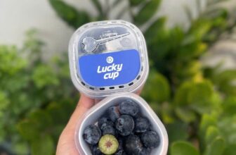 [🆕🇻🇳] TH Fruit – Chuyên Trái Cây Nhập Khẩu Cao Cấp 🍔 Top1Food  🍜  VIỆT QUẤT NHẬP KHẨU – NGỌT MỌNG, BỔ DƯỠNG, ĐẸP DA!Bạn có biết việt quất được mệnh danh là “siêu trái cây” không? Nhưng:
Trái việt quất kém chất lượng  , shares-0✔️ , likes-3❤️️ , date-2025-03-21 00:22:02🇻🇳🇻🇳🇻🇳📰🆕