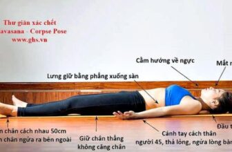 [🆕🇻🇳] Ruby Yoga Và Dance 🧘 Top1Yoga 🤸🏻‍♀️ Thế nào là tập yoga giỏi, đỉnh?Tập yoga giỏi không chỉ là thực hiện tư thế đẹp, mà quan trọng hơn là kiểm soát hơi thở, hiểu cơ thể, tập trung và sống c , shares-0✔️ , likes-10❤️️ , date-2025-03-23 04:01:01🇻🇳🇻🇳🇻🇳📰🆕
