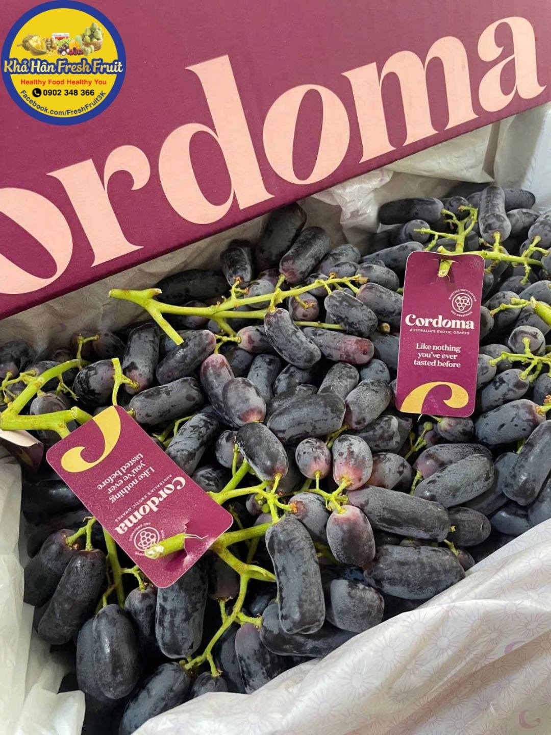 [🆕🇻🇳] Khả Hân Fresh Fruit – Sầu Riêng 6 Hữu 🍔 Top1Food  🍜 nho ngón tay Cordoma mới về cuống xanh tươi , cứng giòn – ngọt . Trái to – phấn son đầy đủShoppe Food
Grap Mart
Grap Food
Baemin
——————– , shares-0✔️ , likes-0❤️️ , date-2025-03-22 21:48:51🇻🇳🇻🇳🇻🇳📰🆕