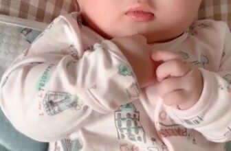 [🆕🇻🇳]  Nhà Bún – Chuyên đồ sơ sinh, đồ trẻ em xuất dư  😎❤️️⭐️  , shares-3✔️ , likes-73❤️️ , date-2025-03-16 23:40:50🇻🇳🇻🇳🇻🇳📰🆕