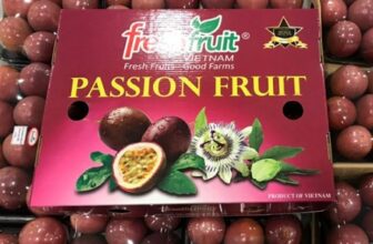 [🆕🇻🇳] Bao bì Toàn Cầu mang sứ mệnh quảng bá thương hiệu, sản phẩm của người Việt 🎨 Top1Designs ✨  Công Ty Bao Bao Bì Toàn Cầu- Chuyện Sản Xuất Thùng Chanh Dây Cao Cấp
Bạn đang tìm kiếm đơn vị sản xuất bao bì an toàn và chất lượng để bảo vệ những trái ch , shares-0✔️ , likes-2❤️️ , date-2025-03-18 20:14:17🇻🇳🇻🇳🇻🇳📰🆕