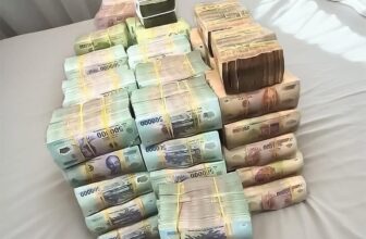 [🆕🇻🇳] Xưởng May Bánh Bao Kids – Cửa hàng quần áo sơ sinh & trẻ em 🧑‍🧒❤️️👶⭐️  Bình yên là sáng sớm nay thức giấc
Ô cửa xanh ánh nắng chiếu rạng ngời
Con say giấc mơ màng chúm chím cười
Quanh ta đấy bao người thân mạnh khỏe
Bình yên , shares-0✔️ , likes-3❤️️ , date-2025-03-21 02:00:36🇻🇳🇻🇳🇻🇳📰🆕