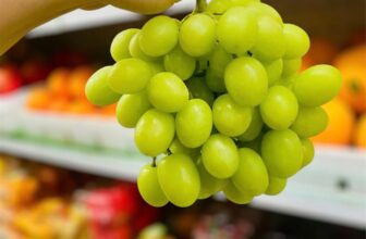 [🆕🇻🇳] Lefarms – Cửa hàng tiện lợi 🍔 Top1Food  🍜  NHO XANH FRUTICO – GIÒN, NGON, MỌNG NƯỚC MỜI KHÁCH IU GHÉ LỰA ẠNho xanh Frutico thuộc dòng nho xanh Autumn Crisp, một trong những thương hiệu cao cấp  , shares-0✔️ , likes-0❤️️ , date-2025-03-23 01:33:25🇻🇳🇻🇳🇻🇳📰🆕