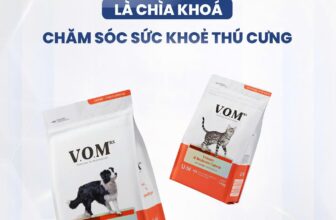 [🆕🇻🇳] V.O.M Việt Nam – Hạt thức ăn hỗ trợ trị liệu đa chức năng 🐶🦜 Top1Pets 🐱🐠  HIỂU BỆNH TIẾT NIỆU – CHÌA KHOÁ CHĂM SÓC SỨC KHOẺ THÚ CƯNG
Bạn có biết? Chỉ một lần chậm trễ trong việc phát hiện bệnh tiết niệu cũng có thể khiến thú cưn , shares-0✔️ , likes-11❤️️ , date-2025-03-20 01:13:58🐶🐱🇻🇳🇻🇳🇻🇳📰🆕