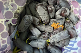 [🆕🇻🇳] F5 Fruit Shop Hồ Chí Minh-hệ thống bán lẻ Trái cây Nhập khẩu cao cấp 🍔 Top1Food  🍜  𝐍𝐇𝐎 𝐍𝐆𝐎́𝐍 𝐓𝐀𝐘 𝐎𝐋𝐈𝐕𝐄𝐑 𝐔́𝐂 – 𝐍𝐆𝐎𝐍 𝐊𝐇𝐎̂𝐍𝐆 𝐂𝐔̛𝐎̛̃𝐍𝐆 𝐋𝐀̣𝐈!
Giá bán: 215K/KG
𝐂𝐎𝐌𝐁𝐎 𝐓𝐈𝐄̂́𝐓 𝐊𝐈𝐄̣̂𝐌 𝐂𝐇𝐈̉ 𝟏𝟗𝟎𝐊/ 𝐇𝐨̣̂𝐩 1 𝐊𝐆
𝑻𝒂̣𝒊 𝒔𝒂𝒐 𝑵𝒉𝒐 𝑵𝒈𝒐́𝒏 𝑻𝒂𝒚 𝑶𝒍𝒊𝒗𝒆𝒓 𝒍𝒂̣𝒊 𝒍𝒂 , shares-1✔️ , likes-2❤️️ , date-2025-03-22 22:35:02🇻🇳🇻🇳🇻🇳📰🆕