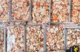 [🆕🇻🇳] ANH THƯ FOOD – Thịt Càng Cua / Thịt Ghẹ -Tôm Tích 🍔 Top1Food  🍜  Hàng Thịt Cúm [ Gối & Miếng/Bẹ Cúm ]
Không Mê Em Này Thì Mê Em Nào Nữa
Hàng Tươi Mới Mỗi Ngày  Khách Đặt Bên Em Mới Bắt Đầu Cho Thợ Làm Hàng .
Cúm Tu , shares-0✔️ , likes-4❤️️ , date-2025-03-22 05:03:20🇻🇳🇻🇳🇻🇳📰🆕