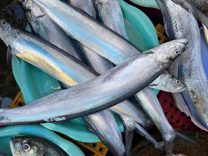 [🆕🇻🇳] Xu Xoa Quãng Ngãi Tại TP.HCM 🍔 Top1Food  🍜  𝐂𝐇𝐀̉ 𝐂𝐀́ 𝐑𝐔̛̣𝐀 𝐗𝐀𝐘 𝐐𝐔𝐀̉𝐍𝐆 𝐍𝐆𝐀̃𝐈

Cá rựa tươi lựa từng con sau đó làm sạch sẽ và lột da đem xay nhuyễn và gia vị vừa ăn.

𝙆𝙝𝙤̂𝙣𝙜 𝙥𝙝𝙖 𝙩𝙧𝙤̣̂𝙣 𝙗𝙤̣̂𝙩, 𝙣𝙜𝙪𝙮𝙚̂𝙣  , shares-0✔️ , likes-0❤️️ , date-2025-03-23 04:24:13🇻🇳🇻🇳🇻🇳📰🆕