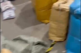 [🆕🇻🇳]  Chuyên Sỉ Lẻ Quần Áo Trẻ Em Cao Cấp 🧑‍🧒❤️️👶⭐️  , shares-0✔️ , likes-2❤️️ , date-2025-03-20 06:11:20🇻🇳🇻🇳🇻🇳📰🆕