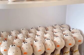 [🆕🇻🇳] Chichibebe Korea Baby Shop – Nhà Phân Phối ikii chính hãng Độc Quyền tại Việt Nam 🧑‍🧒❤️️👶⭐️ 𝗛𝗔̀𝗡𝗚 𝗖𝗢́ 𝗦𝗔̆̃𝗡 #CóSẵn #ikii
Về mấy trăm em Na Bông này cũng không đủ ạ
Cực kì hot vì thiết kế dễ thương, bé dễ cầm nắm, bên trong có lục lạc kích thích t , shares-0✔️ , likes-0❤️️ , date-2025-03-18 03:20:06🇻🇳🇻🇳🇻🇳📰🆕