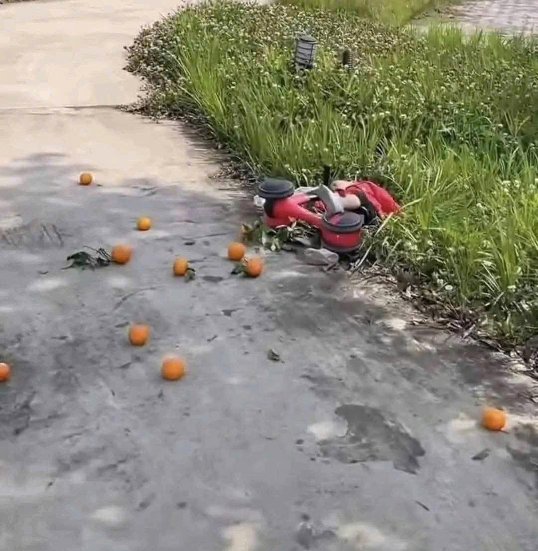 [🆕🇻🇳] Cá Mập Em Bé – Thời Trang Trẻ Em Đà Nẵng 🧑‍🧒❤️️👶⭐️ Không mũ bảo hiểm,  không bằng lái, không đăng ký xe, không bảo hiểm xe, nồng độ sữa trong hơi thở cao …
Kịch Khung…
, shares-2✔️ , likes-20❤️️ , date-2025-03-20 04:55:15🇻🇳🇻🇳🇻🇳📰🆕