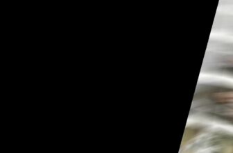 [🆕🇻🇳] 2H Studio – Chụp Ảnh Cưới Đẹp 🤵🏻 Top1Wedding 👰🏻  03 PHIM TRƯỜNG CỨ GIƠ MÁY LÊN LÀ CÓ ẢNH ĐẸP TẠI SÀI GÒN#2HStudioHoChiMinh #2HStudioDaLat #2HStudio #2HStudioLongBiên #Chupanhcuoi #Prewedding #Anhcuoihan , shares-0✔️ , likes-0❤️️ , date-2025-03-19 05:14:16🇻🇳🇻🇳🇻🇳📰🆕