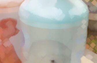 [🆕🇻🇳] Cát vệ sinh cho mèo giá rẻ 🐶🦜 Top1Pets 🐱🐠 Sữa tắm hương nước hoa cho chó mèo Dorrrikey chai 500ml #suatamchocho #suatamchomeo #suatamchochomeo #suatamchocholongtrang #suatamchochonau #suatammeo , shares-0✔️ , likes-0❤️️ , date-2025-03-19 03:31:07🐶🐱🇻🇳🇻🇳🇻🇳📰🆕