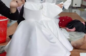 [🆕🇻🇳] Emily Jane – Váy đầm công chúa thiết kế cho bé 🧑‍🧒❤️️👶⭐️  , shares-0✔️ , likes-0❤️️ , date-2025-03-18 22:38:01🇻🇳🇻🇳🇻🇳📰🆕