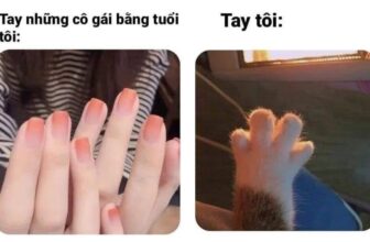 [🆕🇻🇳] Nu Pet – Yêu Thú Cưng 🐶🦜 Top1Pets 🐱🐠 Tay ai cơ
, shares-0✔️ , likes-1❤️️ , date-2025-03-21 16:39:28🐶🐱🇻🇳🇻🇳🇻🇳📰🆕