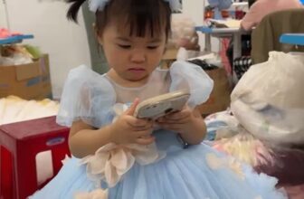 [🆕🇻🇳] Emily Jane – Váy đầm công chúa thiết kế cho bé 🧑‍🧒❤️️👶⭐️ Màu mới  , shares-0✔️ , likes-1❤️️ , date-2025-03-22 16:53:03🇻🇳🇻🇳🇻🇳📰🆕