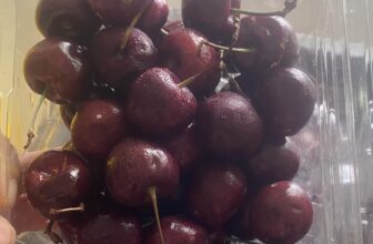 [🆕🇻🇳] Thảo Nhi Fruits – Chuyên cung cấp các loại thực phẩm sạch an toàn cho sức khoẻ 🍔 Top1Food  🍜 Em còn 2kg cherry Newzealand Size 28, cứng trái – cuống se ý hình.#350k em SALE còn 220k/kgNHANH TAY IB EM  Sale nhanh về mã mới.
, shares-0✔️ , likes-1❤️️ , date-2025-03-22 18:16:21🇻🇳🇻🇳🇻🇳📰🆕