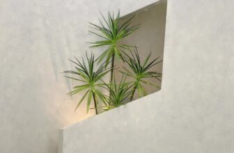 [🆕🇻🇳] Fashion SYD’N – Thiết kế & Thời trang  👕 Top1Fashion 👗   , shares-0✔️ , likes-41❤️️ , date-2025-03-22 19:19:13🇻🇳🇻🇳🇻🇳📰🆕