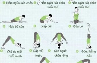 [🆕🇻🇳] Huỳnh Tha Yoga – Yoga cho người mới bắt đầu, trung cấp, nâng cao 🧘 Top1Yoga 🤸🏻‍♀️  YOGA TĂNG CƯỜNG HỆ MIỄN DỊCH – CHỈ 15 PHÚT MỖI NGÀY!Bạn muốn cơ thể khỏe mạnh, dẻo dai và ít ốm vặt?
Hãy thử ngay bộ bài tập Yoga đơn giản tại nhà gi , shares-0✔️ , likes-3❤️️ , date-2025-03-23 22:41:36🇻🇳🇻🇳🇻🇳📰🆕