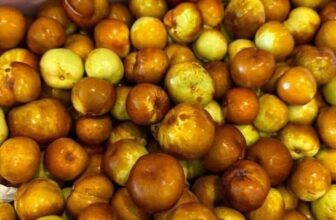 [🆕🇻🇳] Paul’s Healthy Fruits – Cửa hàng rau quả 🍔 Top1Food  🍜 𝐇𝐎̂̀𝐍𝐆 𝐓𝐀́𝐎 𝐔́𝐂 – 𝐜𝐮̛̣𝐜 𝐩𝐡𝐚̂̉𝐦 đ𝐞̂̉ 𝐜𝐨́ 𝐠𝐢𝐚̂́𝐜 𝐧𝐠𝐮̉ 𝐧𝐠𝐨𝐧HÀNG XÁCH TAY Úc đáp chuyến mớiHàng bay tươi rói, giòn, ngọt đậmAi mất ngủ thì nên ăn hồn , shares-0✔️ , likes-0❤️️ , date-2025-03-22 02:38:13🇻🇳🇻🇳🇻🇳📰🆕