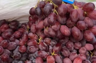 [🆕🇻🇳] Trái Cây Nhập Khẩu Tuy Hoà-Phú An Food 🍔 Top1Food  🍜 Trái Cây Nhập Khẩu Tuy Hoà – Phú An Food
Chuyên Nhận gói giỏ quà trái cây nhập khẩu và giỏ bánh kẹo nhập cao cấp
27 Ngô Quyền, P5, Tuy Hoà, Phú Yên
Hotline , shares-0✔️ , likes-2❤️️ , date-2025-03-19 14:58:20🇻🇳🇻🇳🇻🇳📰🆕