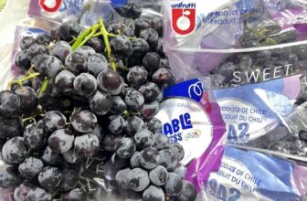 [🆕🇻🇳] Trái Cây Nhập Khẩu Đường Bay – Cửa hàng rau quả 🍔 Top1Food  🍜 Nho đen ngọt lịm mà còn rất thơm nữa chứ #110k/kg tươi rói nha cả nhàThùng khoản 7,3kg 700k…Đây là vị bên em ăn thử và miêu tả. Khuyến khích khách  , shares-0✔️ , likes-3❤️️ , date-2025-03-19 18:23:45🇻🇳🇻🇳🇻🇳📰🆕