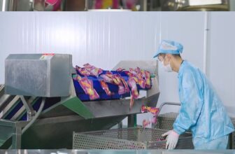 [🆕🇻🇳] Đồ ăn vặt ALACO chuyên chân gà, cánh gà, cá cơm ăn liền hot-trend của giới trẻ 🍔 Top1Food  🍜 VÌ SAO NÊN LỰA CHỌN ALACO ĐỂ HỢP TÁC THAY VÌ RẤT NHIỀU NHÃN HIỆU CHÂN GÀ, CÁNH GÀ, CÁ CƠM ĂN LIỀN NGOÀI THỊ TRƯỜNG?Bạn đang tìm kiếm một sản phẩm ăn vặt  , shares-0✔️ , likes-0❤️️ , date-2025-03-20 20:31:11🇻🇳🇻🇳🇻🇳📰🆕