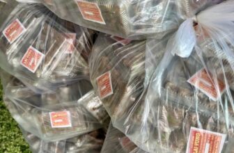 [🆕🇻🇳] Nem Lai Vung Hồng Vy  (Nhà Phân Phối) 🍔 Top1Food  🍜 Nem Bì
, shares-0✔️ , likes-1❤️️ , date-2025-03-19 01:23:18🇻🇳🇻🇳🇻🇳📰🆕