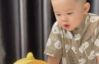 [🆕🇻🇳]  RainBow Design – Thế giới sơ mi cho các hoàng tử nhỏ <3 😎❤️️⭐️ Ở đây có em bé sai đẹp triêu  , shares-0✔️ , likes-4❤️️ , date-2025-03-22 21:33:08🇻🇳🇻🇳🇻🇳📰🆕