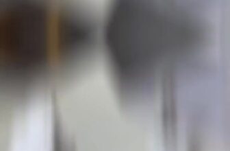 [🆕🇻🇳] Miss Face – Bán buôn , bán lẻ dụng cụ ngành nail 💅💇 Top1Makeup 💕👄   , shares-0✔️ , likes-0❤️️ , date-2025-03-21 04:51:40🇻🇳🇻🇳🇻🇳📰🆕