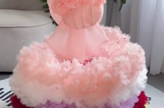 [🆕🇻🇳] KING Xưởng Đầm Công Chúa – Chuyên Váy Công Chúa Cao Cấp, nhận may theo yêu cầu, chuyên Sỉ và Lẻ 🧑‍🧒❤️️👶⭐️ #váycôngchúathiếtkế #váydạhội #váydựtiệc #váyphùdâu #váybiểudiễn #váysơsinh #babydress #king #kingvaycongchua  #dohe #ngắn #thoinoi , shares-0✔️ , likes-0❤️️ , date-2025-03-24 00:25:50🇻🇳🇻🇳🇻🇳📰🆕