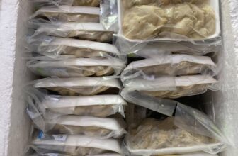 [🆕🇻🇳] Thực phẩm Hà nội Việt Thắng – Trung tâm phân phối thực phẩm đặc sản Miền bắc 🍔 Top1Food  🍜 Sau mấy ngày hết hàng , chả mực Hạ long đã về
, shares-0✔️ , likes-1❤️️ , date-2025-03-22 17:20:02🇻🇳🇻🇳🇻🇳📰🆕