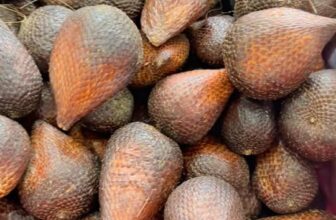 [🆕🇻🇳] Trái Cây Nhập Khẩu Đường Bay – Cửa hàng rau quả 🍔 Top1Food  🍜  , shares-0✔️ , likes-2❤️️ , date-2025-03-22 19:13:03🇻🇳🇻🇳🇻🇳📰🆕