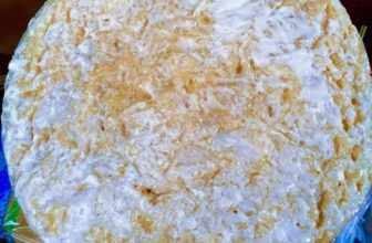 [🆕🇻🇳] Siêu Thị Hàng Tiêu Dùng – Bếp hương béo 🍔 Top1Food  🍜 CHỐT 4 gio chiều nay
sáng mai e trả đơn t777777BÁNH BÒ HẤP THỐT NỐT / LÁ DỨABánh bò chan nước cốt TÂN CHÂU
Bánh vàng từ đường thốt nốt
Bánh xanh  , shares-0✔️ , likes-1❤️️ , date-2025-03-21 20:32:49🇻🇳🇻🇳🇻🇳📰🆕