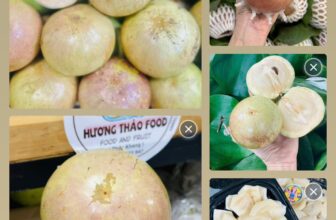 [🆕🇻🇳] Hương Thảo food and Fruits – Cửa hàng thực phẩm tự nhiên 🍔 Top1Food  🍜  VSUA TIM BÁCH THẢO 150K/KY – GỌT SẴN 180K….
VSUA BƠ HỒNG 130K – GỌT SẴN 150K
, shares-0✔️ , likes-0❤️️ , date-2025-03-23 22:58:02🇻🇳🇻🇳🇻🇳📰🆕