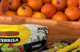 [🆕🇻🇳] Trái Cây Nhập Khẩu Tuy Hoà-Phú An Food 🍔 Top1Food  🍜 Hôm nay bên em về thêm ạ , shares-0✔️ , likes-0❤️️ , date-2025-03-24 14:51:53🇻🇳🇻🇳🇻🇳📰🆕