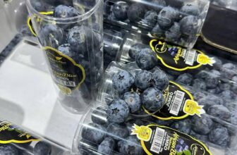 [🆕🇻🇳] Trái Cây Nhập Khẩu Đường Bay – Cửa hàng rau quả 🍔 Top1Food  🍜 Việt Quất ống size Jumbo cực ngon- trái to ú ụ- ngọt ngon hậu chua nhẹ #160k/ống 200grThùng 10 ống 1500k
…Đây là vị bên em ăn thử và miêu tả. Khuyến  , shares-0✔️ , likes-1❤️️ , date-2025-03-22 15:19:08🇻🇳🇻🇳🇻🇳📰🆕