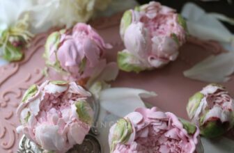 [🆕🇻🇳] Mẹ ủn gấu – Bếp nhà Mẹ Ủn Gấu 🍔 Top1Food  🍜 Vì yêu mà đến
Rất nhiều bạn đến với lớp peonies vì vibe của em ấy yep, chút gì đó mạnh mẽ, chút gì đó quý phái, chút gì đó kiêu sa, một chút một chút dịu … , shares-3✔️ , likes-28❤️️ , date-2025-03-22 14:15:37🇻🇳🇻🇳🇻🇳📰🆕