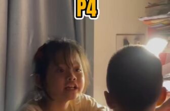 [🆕🇻🇳] Happybaby quần áo trẻ em độc, lạ – 𝐂𝐇𝐔𝐘𝐄̂𝐍 𝐐𝐀𝐓𝐄 𝐐𝐔𝐀̉𝐍𝐆 𝐂𝐇𝐀̂𝐔 𝐂𝐀𝐎 𝐂𝐀̂́𝐏 🧑‍🧒❤️️👶⭐️ Bất lực quá nạ#happybabyshop
#thoitrangtreem #aobetrai
#hiphop
#realvideo #xuhuongreal
#viral , shares-0✔️ , likes-0❤️️ , date-2025-03-24 05:23:57🇻🇳🇻🇳🇻🇳📰🆕