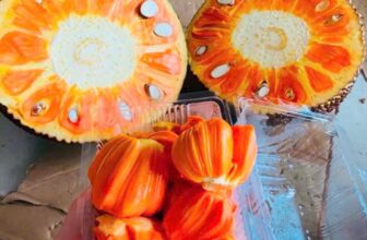 [🆕🇻🇳] Thảo Nhi Fruits – Chuyên cung cấp các loại thực phẩm sạch an toàn cho sức khoẻ 🍔 Top1Food  🍜 Nay em có sẵn#70k/kg mít đỏ Indo
#50k/kg mít vàng (mít Thải)Không ngon em không lấy tiền đâu nha___________
THAO NHI FRUITS
KHU THƯƠNG MẠI, TẦNG TR , shares-0✔️ , likes-0❤️️ , date-2025-03-22 20:25:47🇻🇳🇻🇳🇻🇳📰🆕