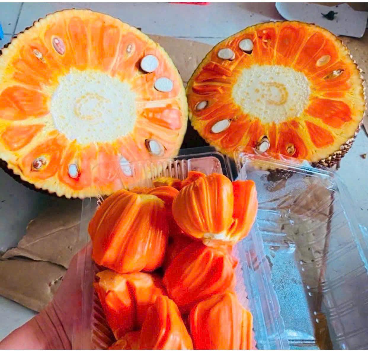 [🆕🇻🇳] Thảo Nhi Fruits – Chuyên cung cấp các loại thực phẩm sạch an toàn cho sức khoẻ 🍔 Top1Food  🍜 Nay em có sẵn#70k/kg mít đỏ Indo
#50k/kg mít vàng (mít Thải)Không ngon em không lấy tiền đâu nha___________
THAO NHI FRUITS
KHU THƯƠNG MẠI, TẦNG TR , shares-0✔️ , likes-0❤️️ , date-2025-03-22 20:25:47🇻🇳🇻🇳🇻🇳📰🆕