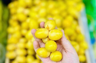 [🆕🇻🇳] Lefarms – Cửa hàng tiện lợi 🍔 Top1Food  🍜 CHÀ LÀ TƯƠI NGUYÊN CÀNH – CHÀ LÀ TƯƠI RÓI GIÒN NGON CĂNG BÓNGChà là này mang đi biếu là hợp lý luôn ạ
Hàng có sẵn
Ngọt lịm
Khô , shares-0✔️ , likes-1❤️️ , date-2025-03-25 19:30:42🇻🇳🇻🇳🇻🇳📰🆕