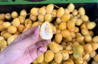 [🆕🇻🇳] Paul’s Healthy Fruits – Cửa hàng rau quả 🍔 Top1Food  🍜  𝐒𝐈𝐄̂𝐔 𝐓𝐑𝐀́𝐈 𝐂𝐀̂𝐘: 𝐂𝐇𝐀̀ 𝐋𝐀̀ 𝐓𝐔̛𝐎̛𝐈 𝐏𝐄𝐑𝐔 𝐆𝐈𝐎̀𝐍 𝐍𝐆𝐎̣𝐓 𝐍𝐇𝐔̛ 𝐌𝐈́𝐀, 𝐒𝐈𝐄̂𝐔 𝐍𝐆𝐎𝐍𝐂𝐡𝐚̀ 𝐥𝐚̀ 𝐭𝐮̛𝐨̛𝐢 𝐧𝐠𝐮𝐲𝐞̂𝐧 𝐜𝐚̀𝐧𝐡 𝐏𝐞𝐫𝐮 𝐝𝐚́𝐩 𝐛𝐚𝐲 𝐯𝐞̂̀ 𝐬𝐚̆̃𝐧, hàng air tươi mới cực c , shares-0✔️ , likes-1❤️️ , date-2025-03-25 10:09:31🇻🇳🇻🇳🇻🇳📰🆕