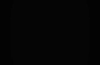 [🆕🇻🇳]  Sunny kids – Quần áo trẻ em 🧑‍🧒❤️️👶⭐️ Mùa này còn cái gì mát bằng sát nách cotton nữa nè. Vừa mát mẻ lại thêmphần lịch sự , shares-0✔️ , likes-0❤️️ , date-2025-03-29 15:50:09🇻🇳🇻🇳🇻🇳📰🆕