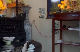 [🆕🇻🇳] Minh Tuyết Shop – Chuyên quần áo hót rẻ nhất thị trường 👕 Top1Fashion 👗  Nay mùng 1 gác Lại công việc sang bên .đời người ngắn ngủi cố gắng tu tập nhé mn .để có sự giác ngộ như hôm nay e đã trải qua nhiều thứ mới có sự thảnh thơ , shares-0✔️ , likes-866❤️️ , date-2025-03-29 18:50:28🇻🇳🇻🇳🇻🇳📰🆕