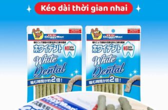 Photos from PawPaw Petshop – Thức ăn, Phụ kiện & Spa cho thú cưng's post [🆕🇻🇳] Top1Vietnam ♥️️