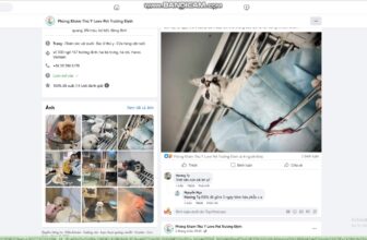 Phòng Khám Thú Y Love Pet Trương Định [🆕Top1Vietnam🇻🇳] [🆕🇻🇳] Top1Vietnam ♥️️